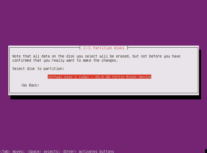 Instalación Ubuntu Server - discos